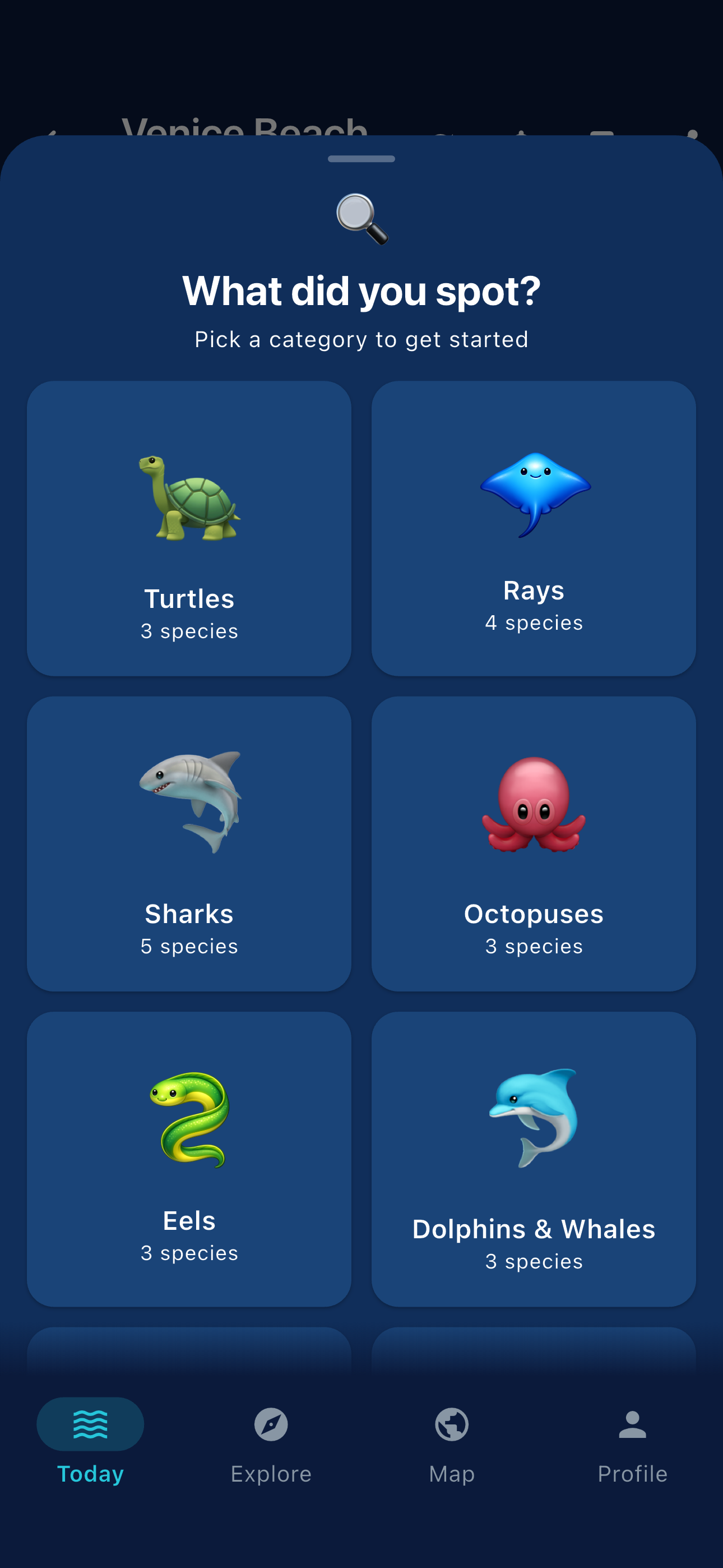 DiveSlate sea life sightings picker showing categories like turtles, rays, sharks, and octopuses